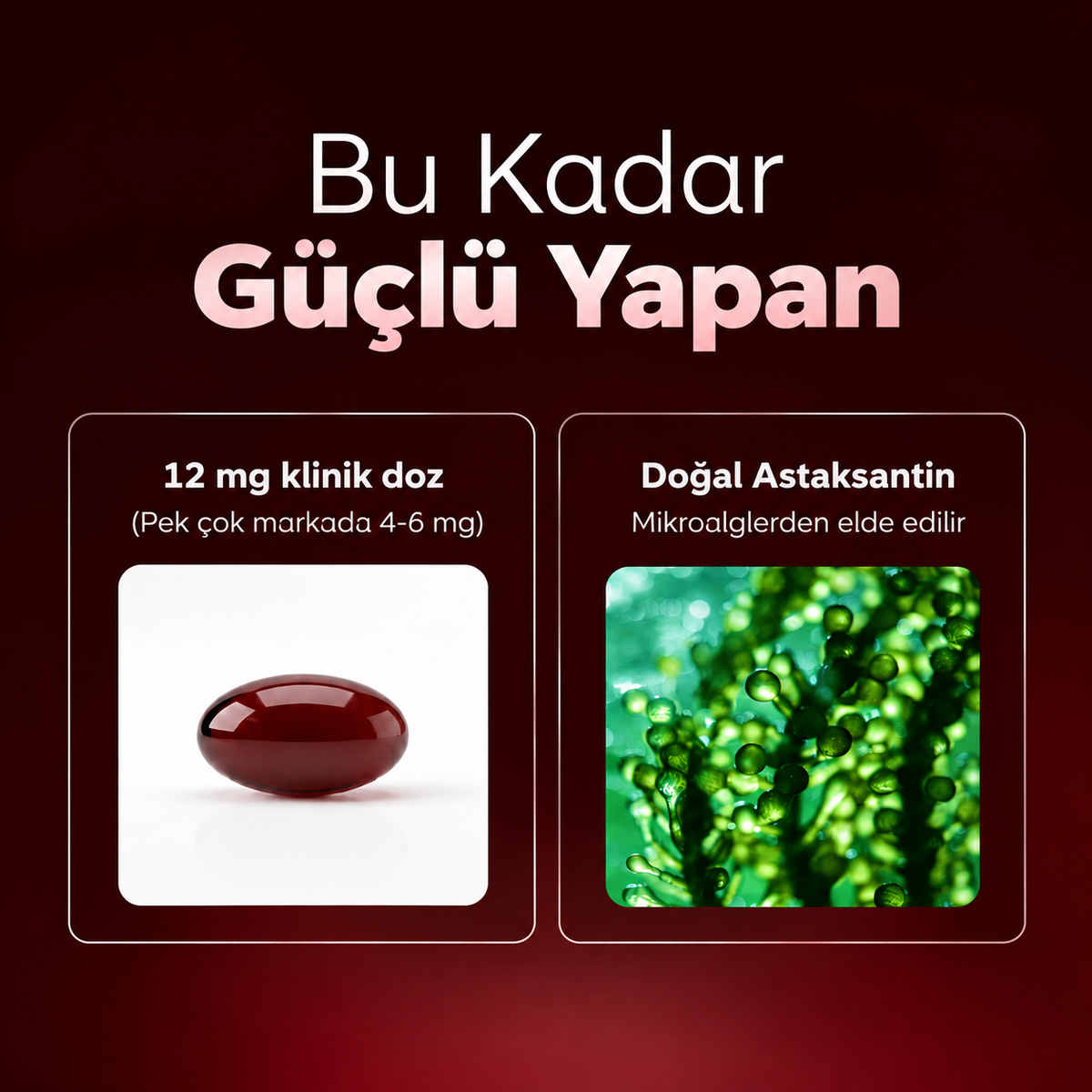 Astaksantin - Tüm Vücut Desteği ve Hücre Koruması İçin Doğanın En Güçlü Antioksidanı